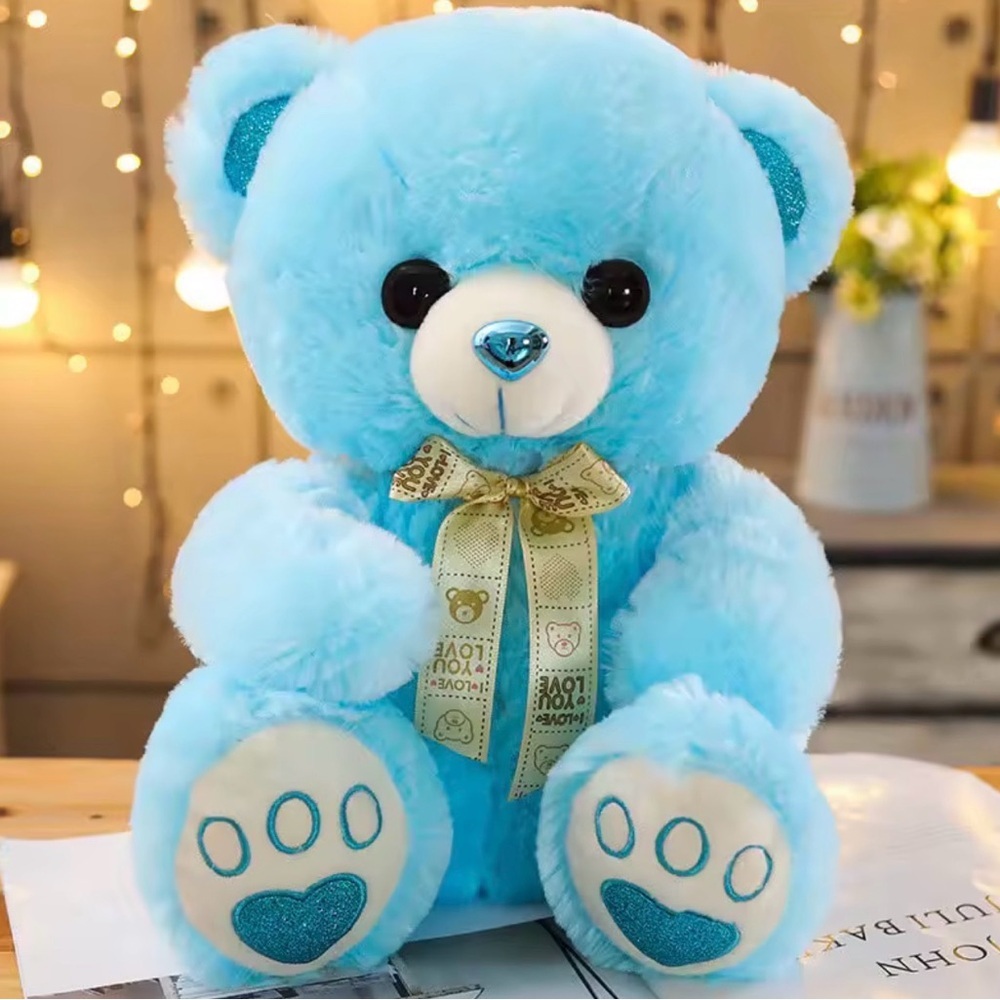 Blue Plush Teddy Bear